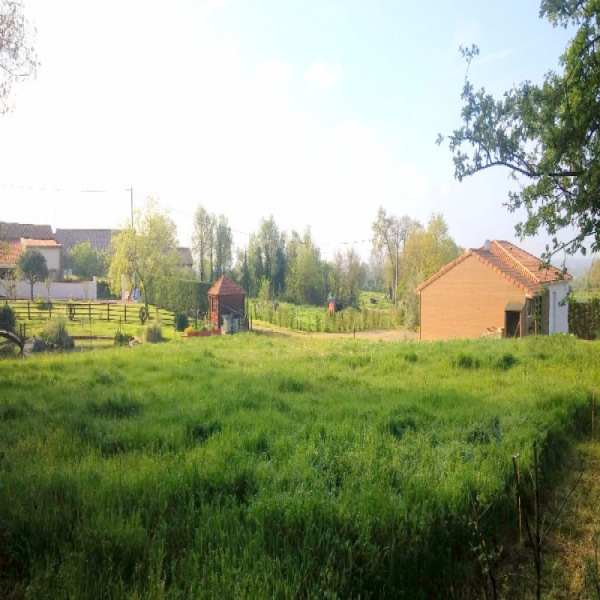 Offres de vente Terrain La Tourlandry 49120