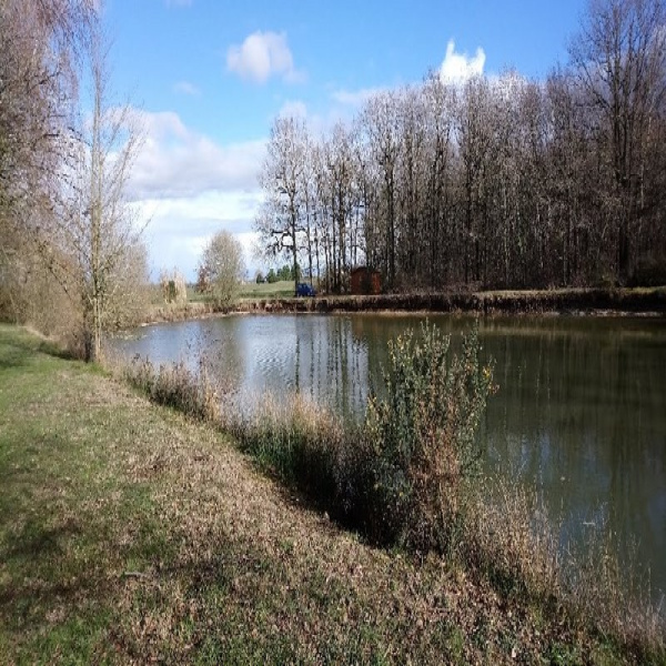 Offres de vente Terrain Luigné 49320