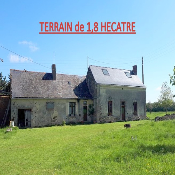 Offres de vente Maison Tigné 49540