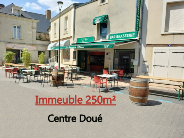 Offres de vente Immeuble Doué-la-Fontaine 49700